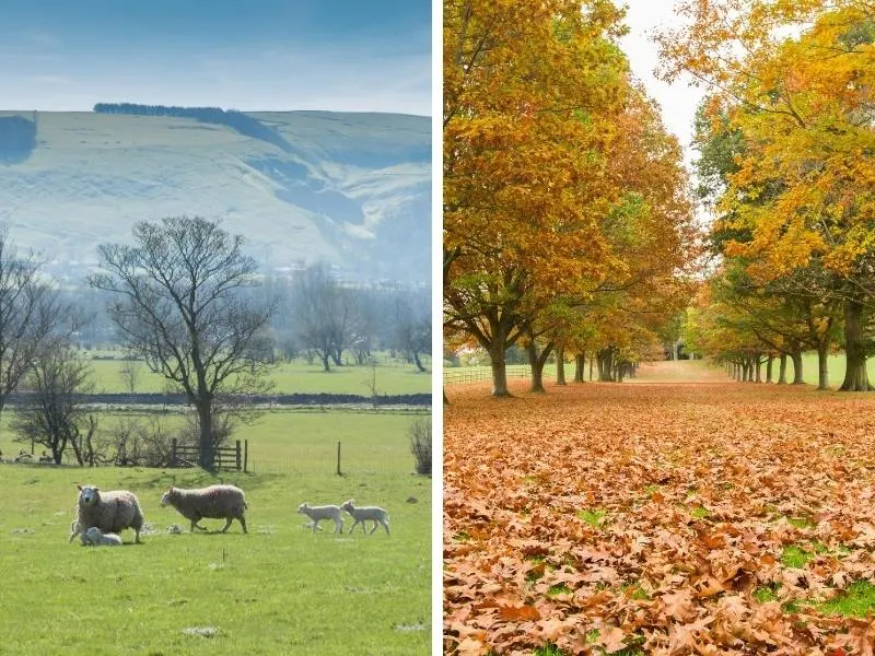 Expect to see lots of lambs in spring and lots of beautiful foliage in autumn in the UK