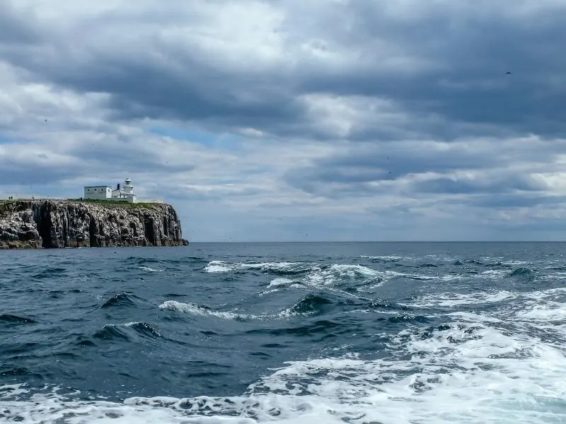 Farne Islands.