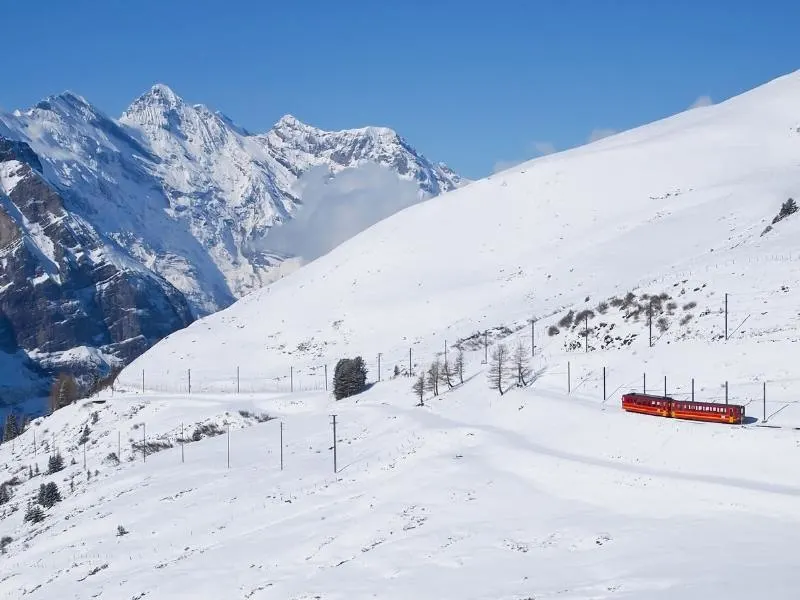 Cog railway up Jungfrau.