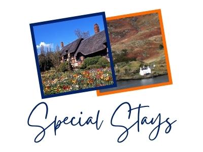 Special Stays Postcard
