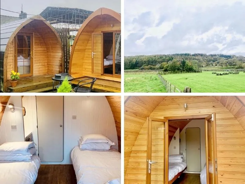 Twin glamping pods