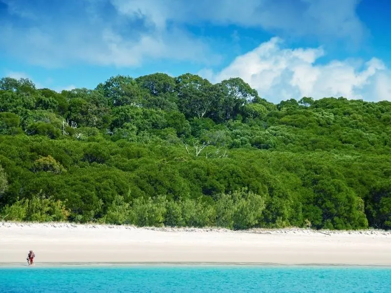 Whitehaven Beach.