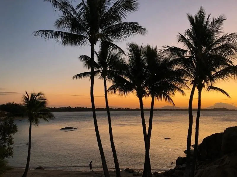 Sunset with palm trees overlooking a beach