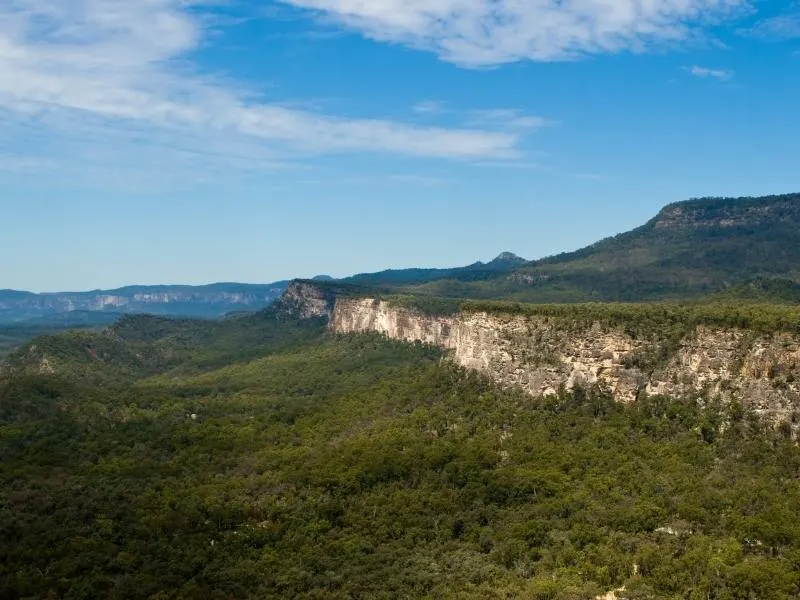 Carnarvon Gorge