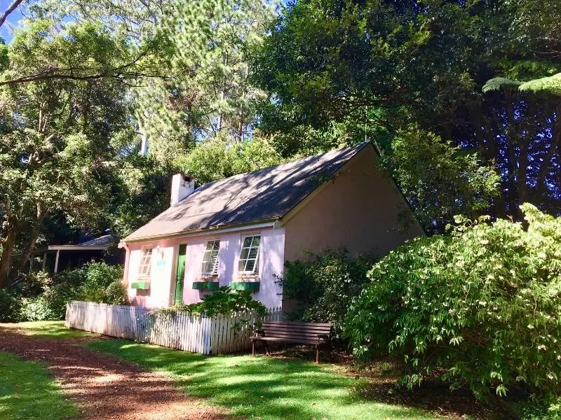 Pink cottage surrounded by trees.