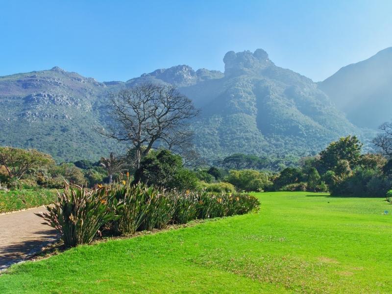 Kirstenbosch Botanical Gardens in Cape Town