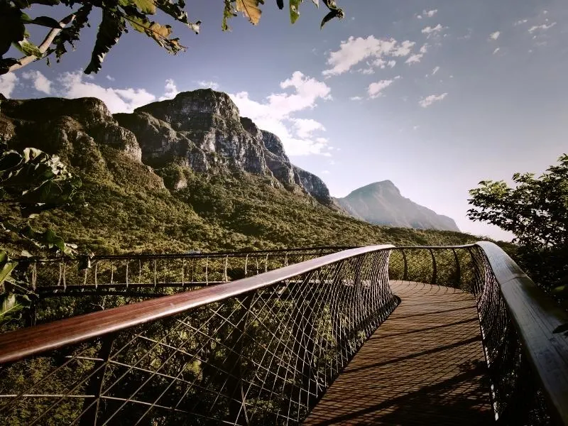 Kirstenbosch Botanical Gardens