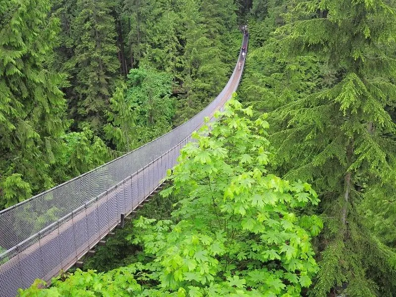 Capilano Suspension bridge in Vancouver.