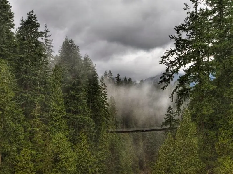 Capilano Suspension Bridge in Vancouver.