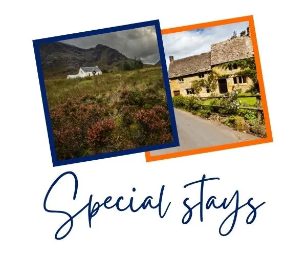Special stays 1