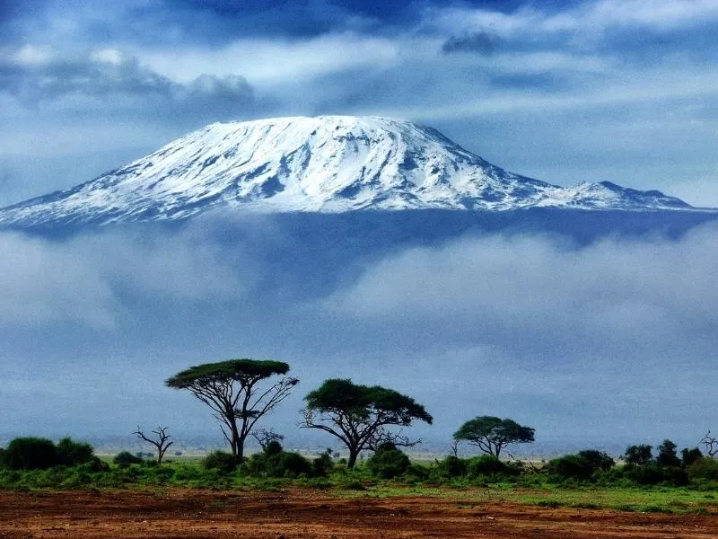 kilimanjaro.