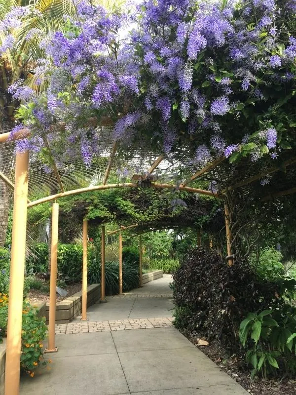 Riverside Bluewater trail in Mackay.