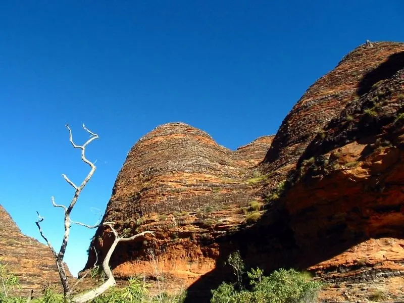 Bungle bungles