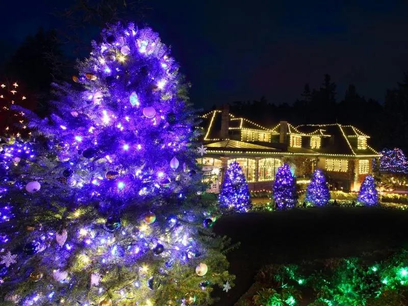 Christmas lights at Butchart Gardens.