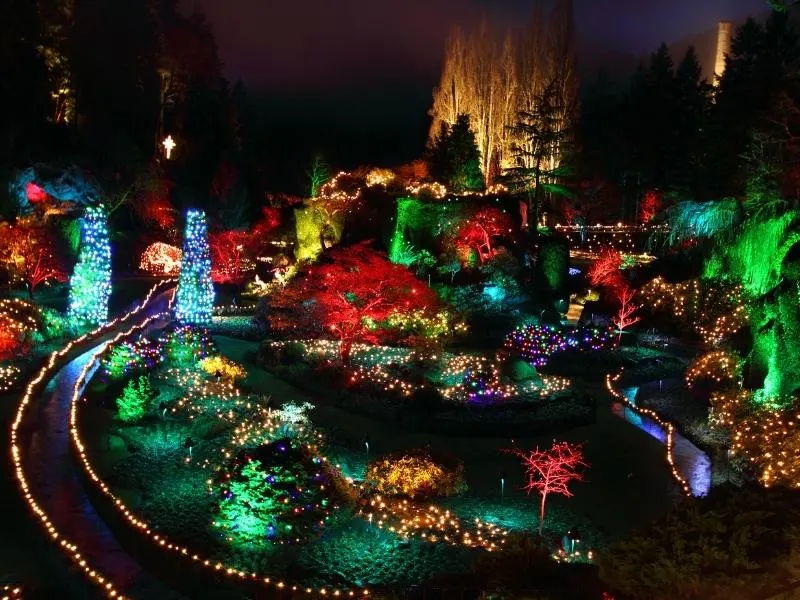 Christmas lights at Butchart Gardens.
