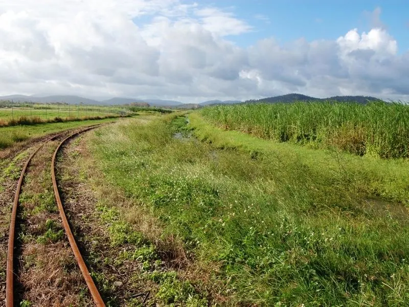 Sugar cane fields in Queensland.