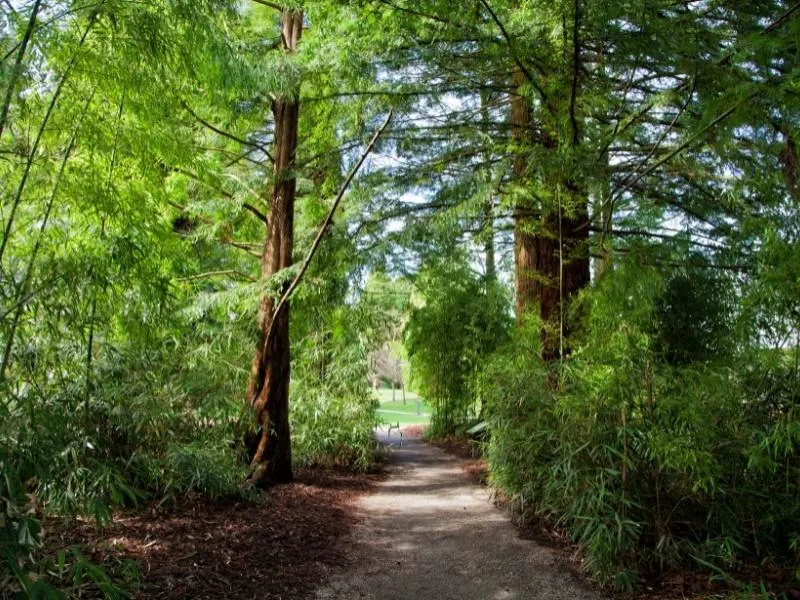 VANDUSEN BOTANICAL GARDEN.