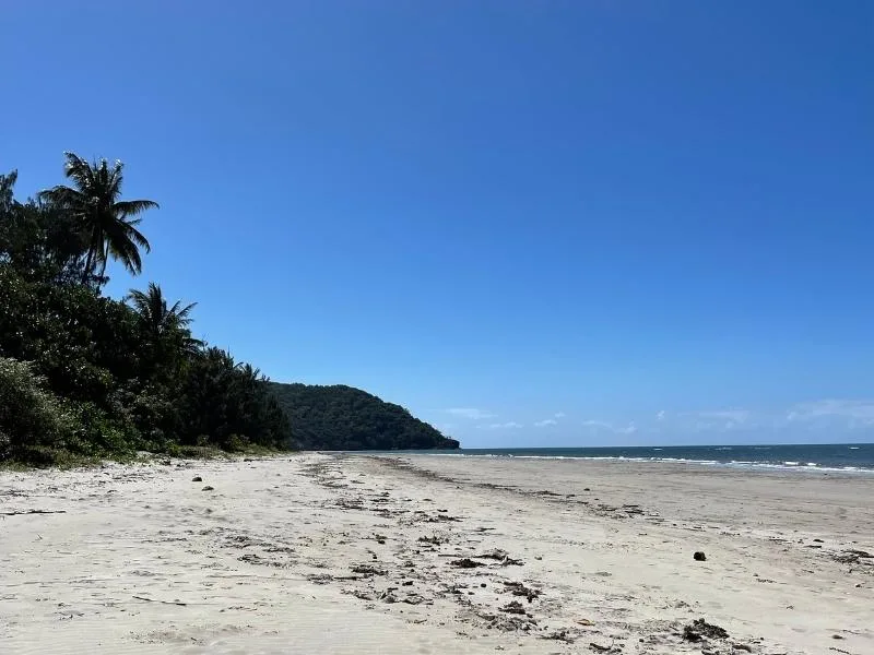 Cape Tribulation beach.