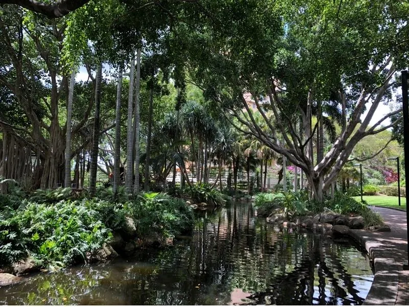 Gardens in South Bank Brisbane.