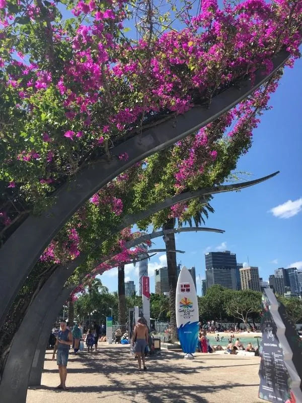 Brisbane arbours with bougainvillaea.