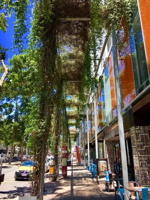 Street in South Bank Brisbane.