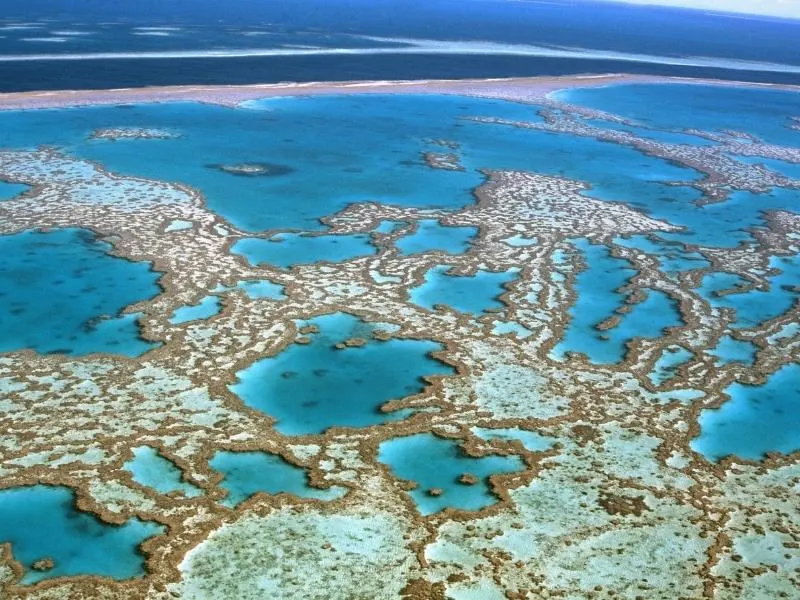 The Great Barrier Reef from the air.