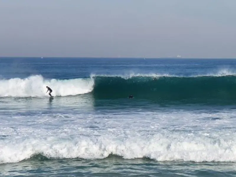 Learn to surf at Scarborough Beach