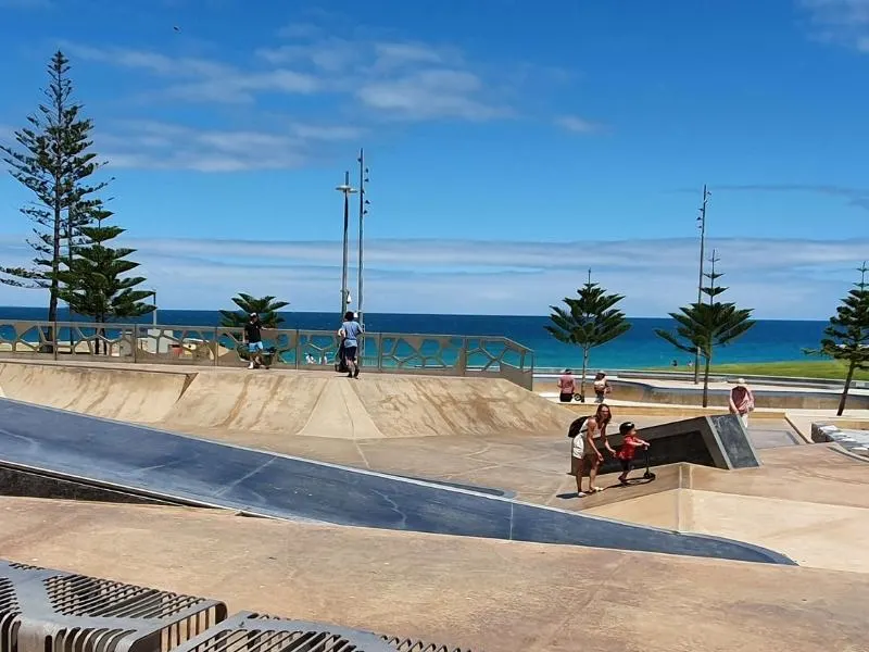 Snake Pit Skate Park.