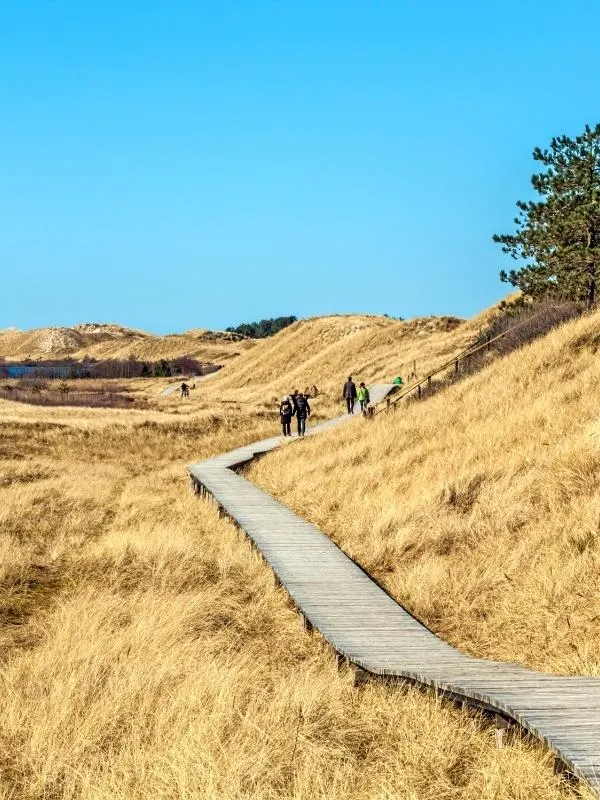 Amrum, Schleswig-Holstein.