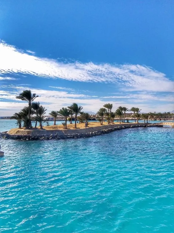 Egypt river and palm trees.