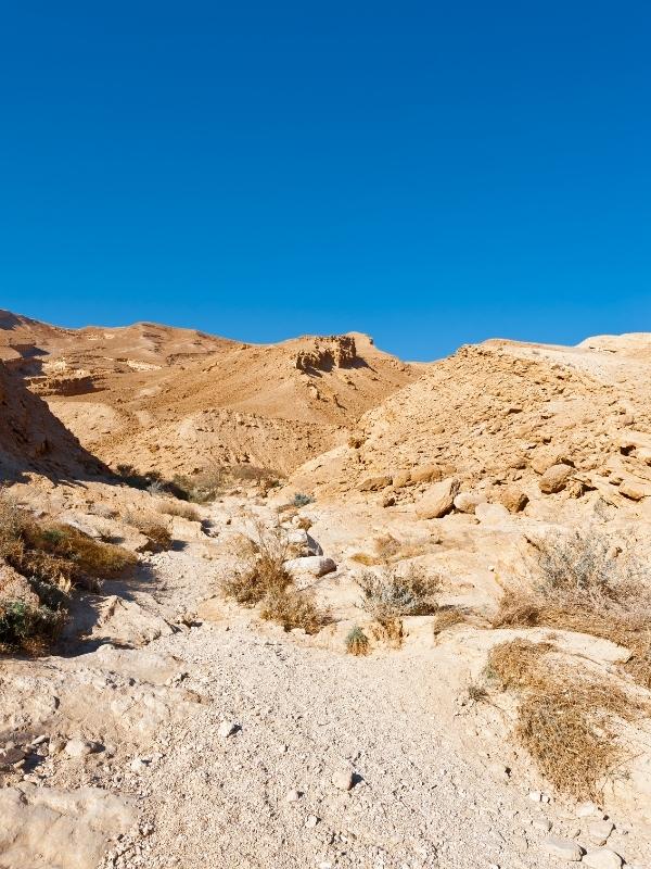 Negev Desert.