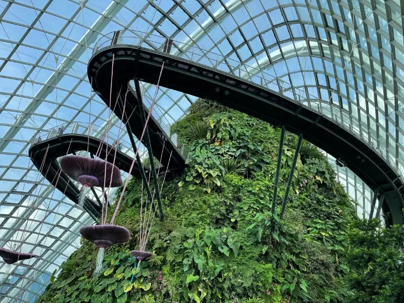 Walkway at the Could Forest in Singapore.