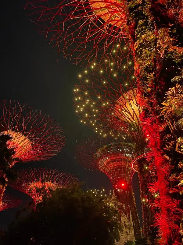 Supertree Grove trees in Singapore.