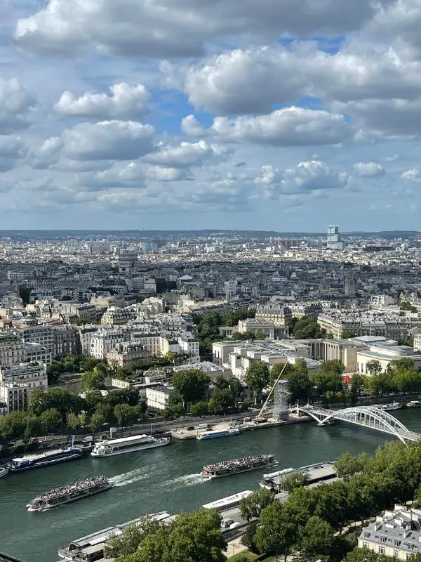 Paris in a Day Eiffel Tower views