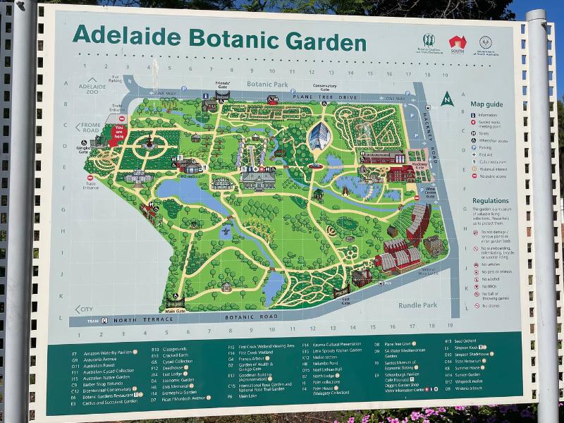 Adelaide Botanic Gardens 2