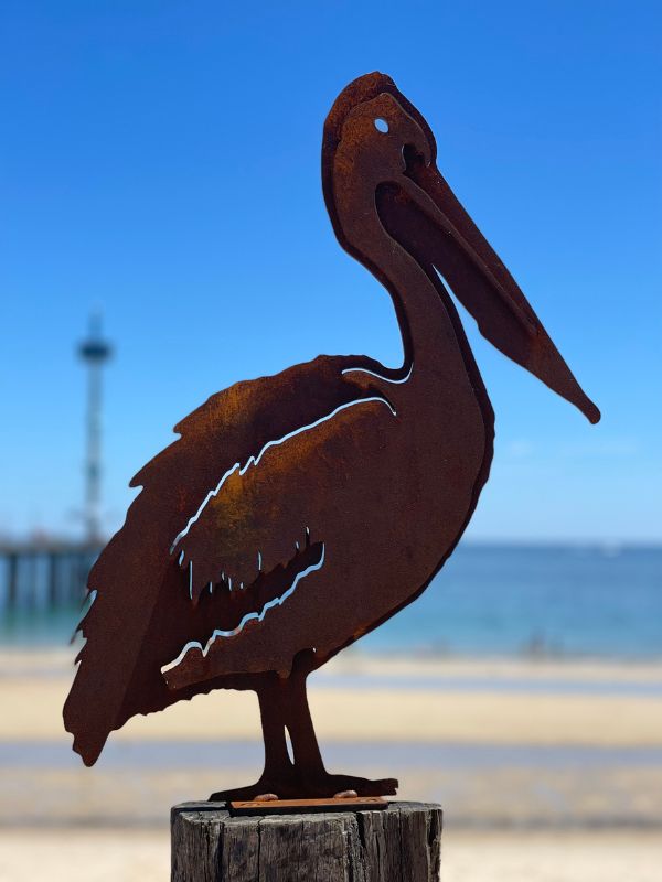 Brighton Beach Adelaide Pelican sculpture
