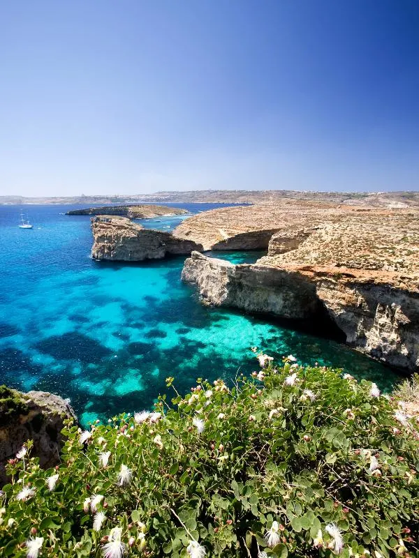 Gozo.