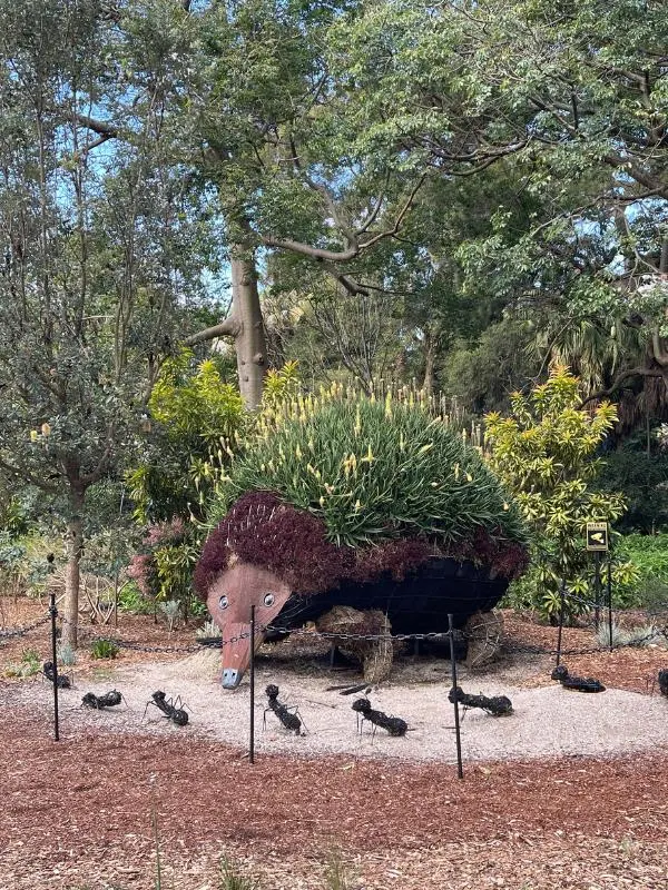 Echidna sculpture in Sydney botanical gardens