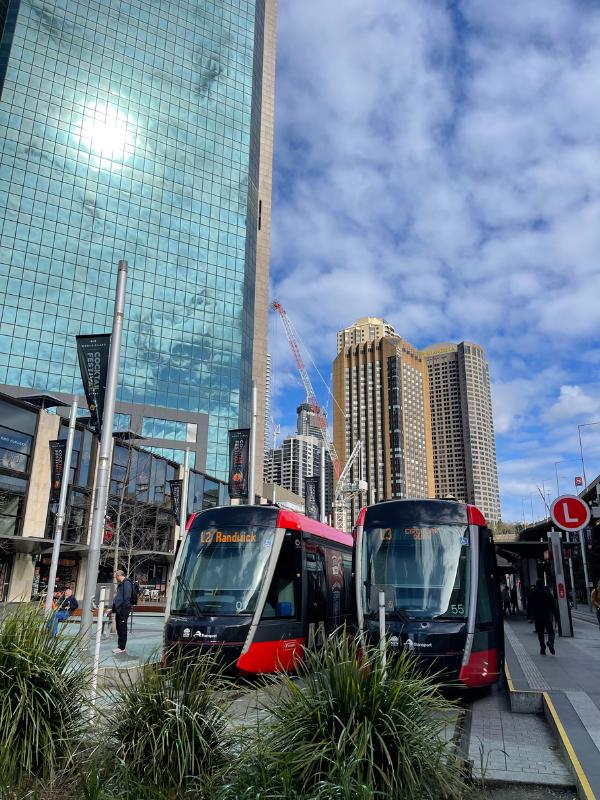 Sydney trams