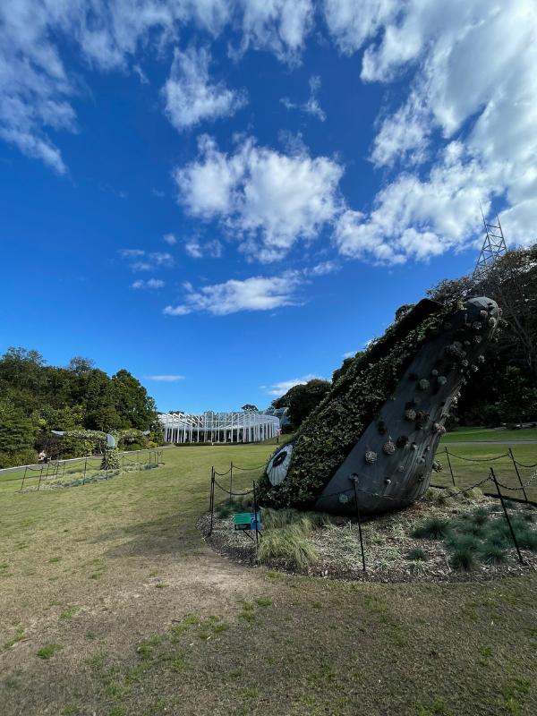 Whale sculpture in Sydney botanical gardens