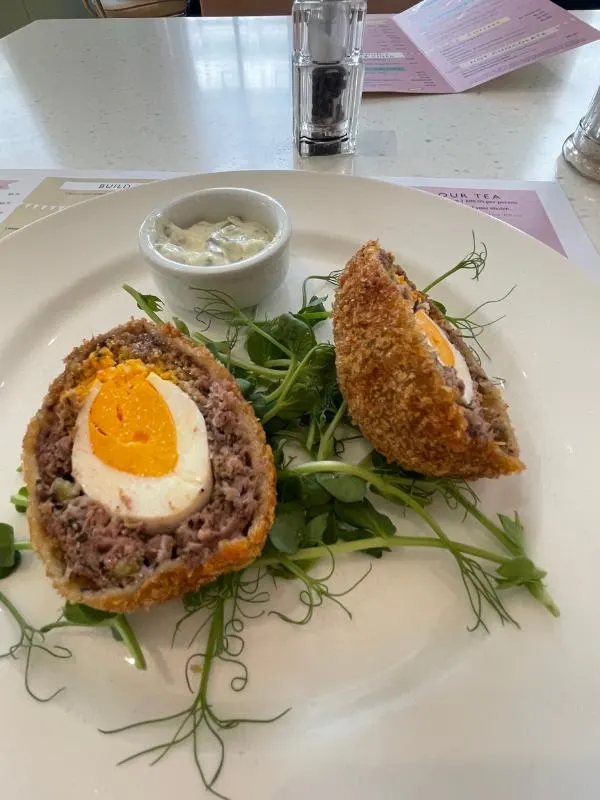 Scotch egg 1