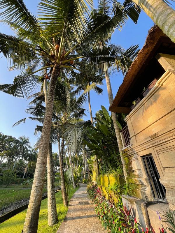 View of the Ubud Village Resort and Spa one of the best luxury hotels in Ubud.