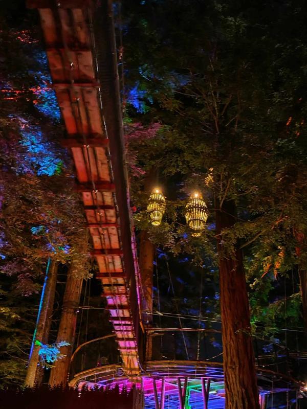 Redwoods Tree Walk (Night)