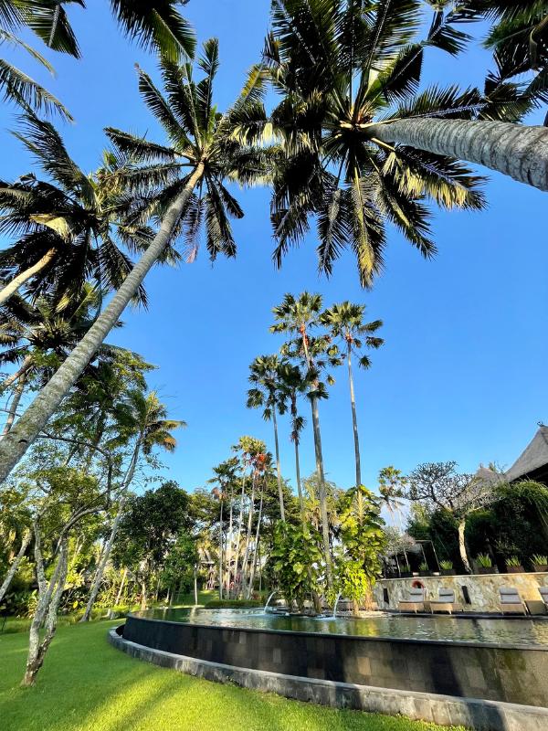 Bali Ubud Village Resort and Spa pool