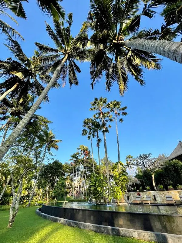 Bali Ubud Village Resort and Spa pool