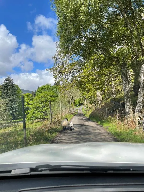 Country road in the UK