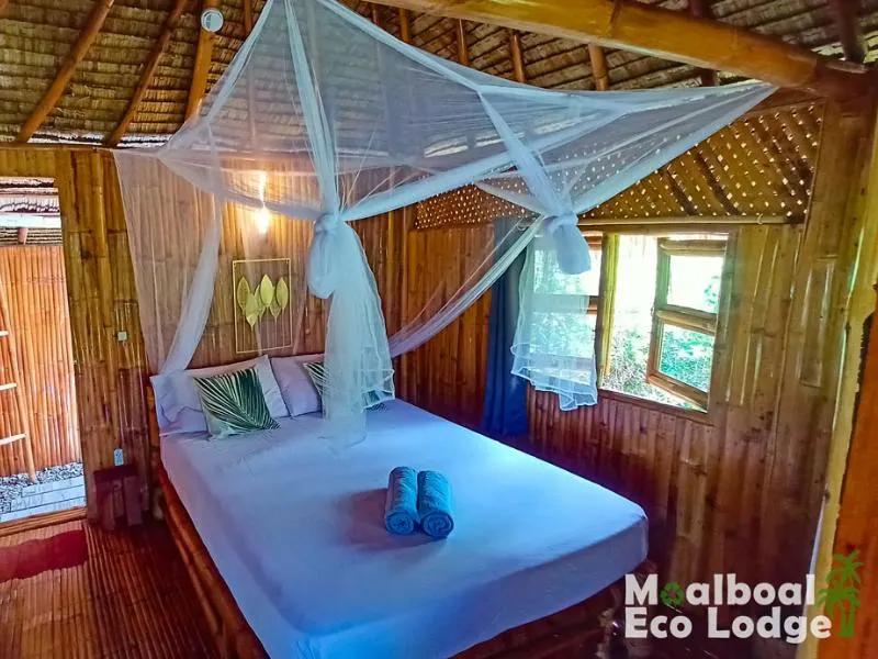 MoalBoal bedroom