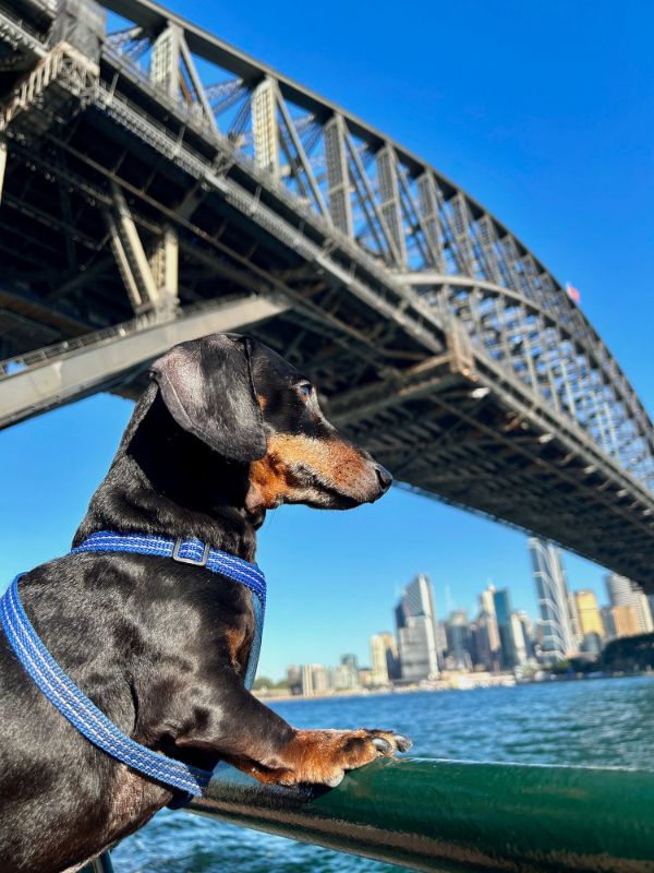 EPISODE 44 Sydney Harbour Bridge