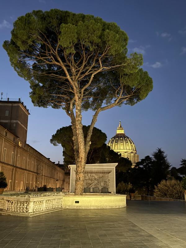 Sunrise at the Vatican Museums