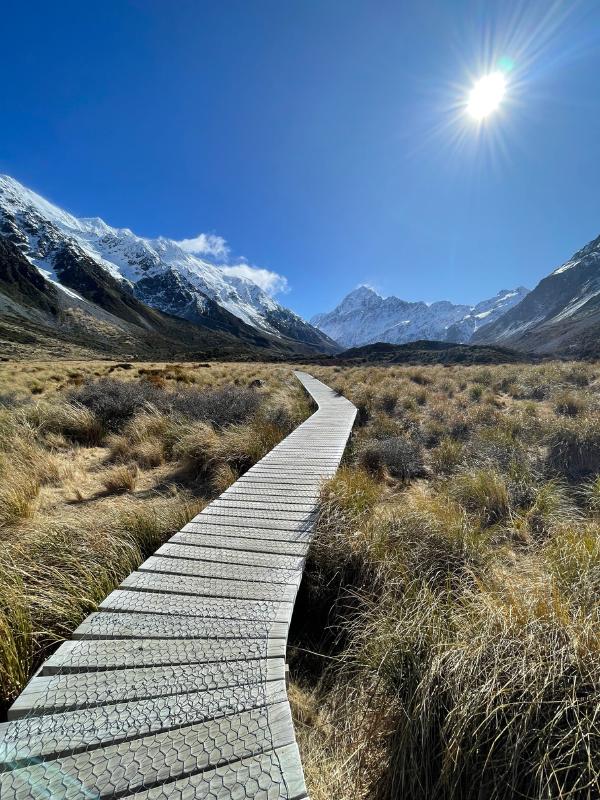 Boardwalk to mt aoraki